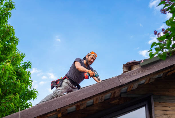 Best Roof Ventilation Installation  in Mianna, AR
